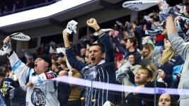 hokej fans15